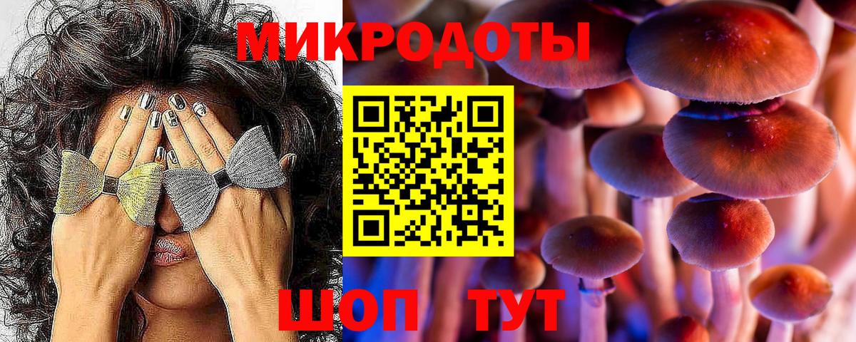Галлюциногенные грибы Magic Shrooms Великий Устюг