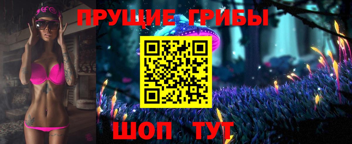 Великий Устюг  Псилоцибиновые грибы Psilocybine cubensis  Вход с VPN 